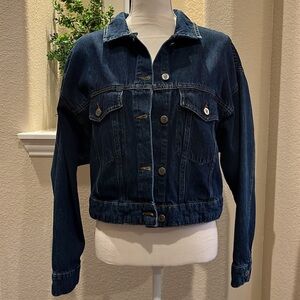 Pilcro and the Letterpress Anthropologie Cropped Denim Jacket Size L